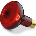 Інфрачервона лампа Sanitas SIL 06